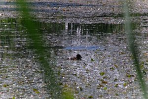 DSCF1410.JPG