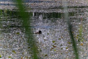 DSCF1418.JPG