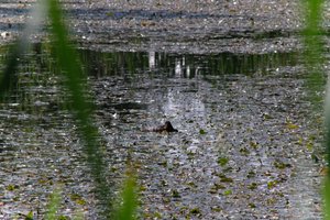 DSCF1419.JPG