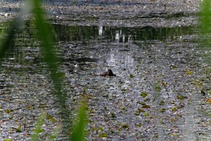 DSCF1422.JPG
