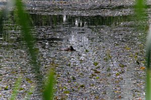 DSCF1423.JPG