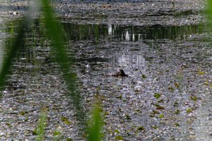 DSCF1427.JPG