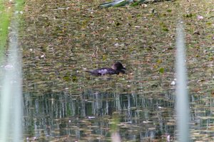 DSCF1458.JPG