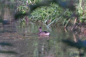DSCF1558.JPG