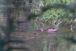DSCF1568.JPG