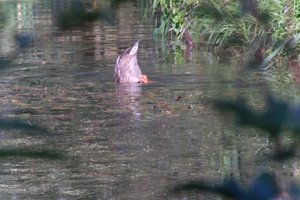 DSCF1572.JPG