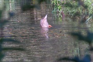 DSCF1573.JPG