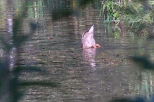 DSCF1578.JPG