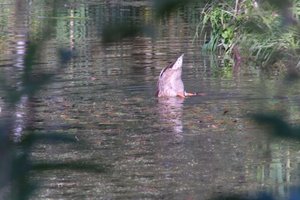 DSCF1579.JPG