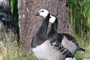 DSCF1607.JPG