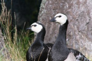 DSCF1634.JPG