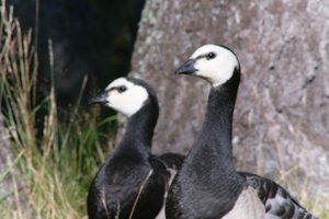 DSCF1635.JPG
