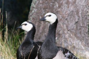 DSCF1637.JPG