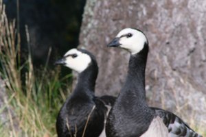 DSCF1640.JPG