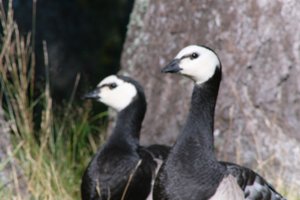 DSCF1641.JPG