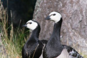 DSCF1642.JPG