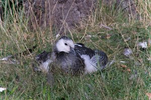 DSCF1644.JPG