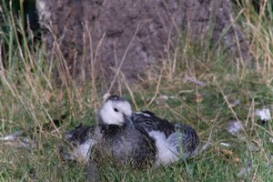 DSCF1651.JPG