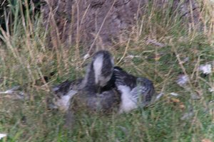 DSCF1659.JPG