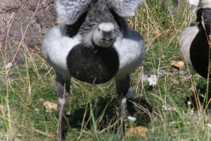 DSCF1662.JPG