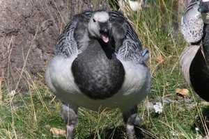 DSCF1667.JPG