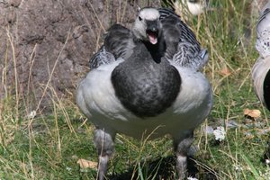DSCF1668.JPG