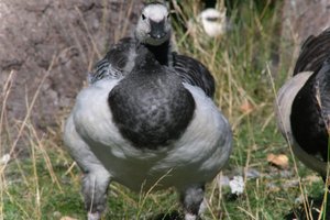 DSCF1673.JPG