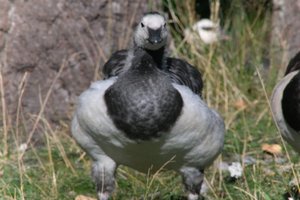 DSCF1677.JPG