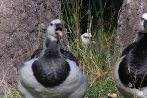 DSCF1681.JPG