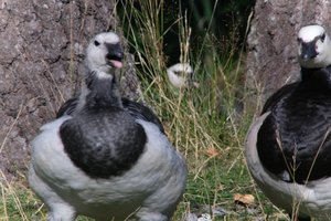 DSCF1683.JPG