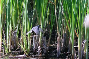 DSCF1781.JPG