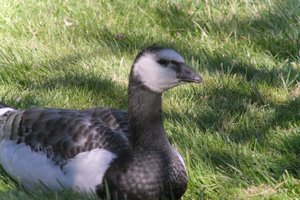 DSCF1782.JPG
