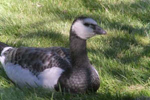 DSCF1783.JPG