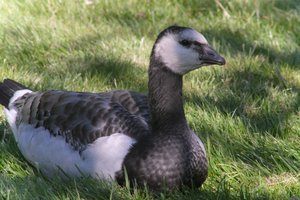DSCF1790.JPG