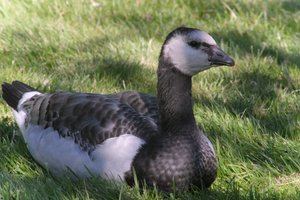 DSCF1791.JPG