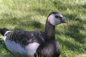DSCF1794.JPG