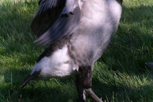 DSCF1805.JPG