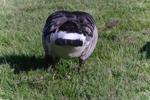 DSCF1814.JPG