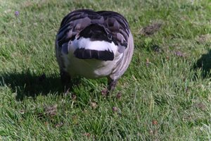 DSCF1815.JPG