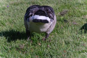 DSCF1816.JPG