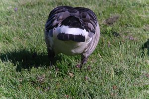 DSCF1817.JPG