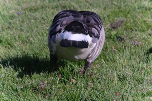 DSCF1818.JPG
