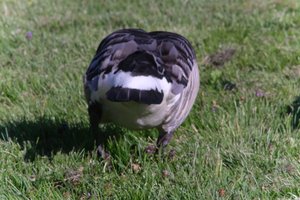DSCF1819.JPG