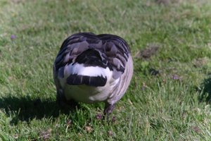 DSCF1821.JPG