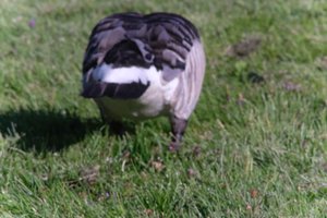 DSCF1828.JPG