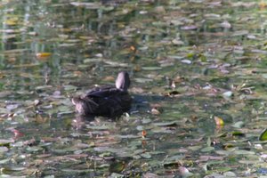 DSCF1846.JPG
