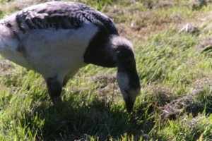 DSCF1877.JPG