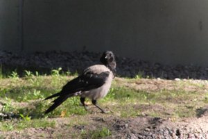 DSCF1957.JPG