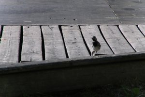 DSCF2004.JPG