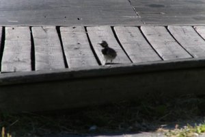 DSCF2010.JPG